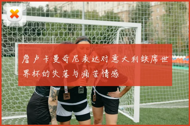詹卢卡曼奇尼表达对意大利缺席世界杯的失落与痛苦情感