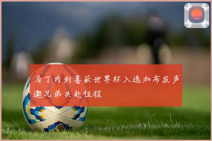 马丁内利喜获世界杯入选加布发声邀兄弟共赴征程