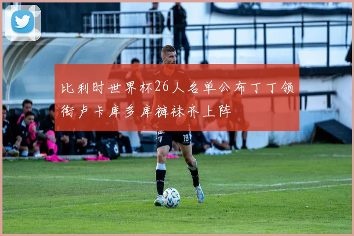 比利时世界杯26人名单公布丁丁领衔卢卡库多库裤袜齐上阵