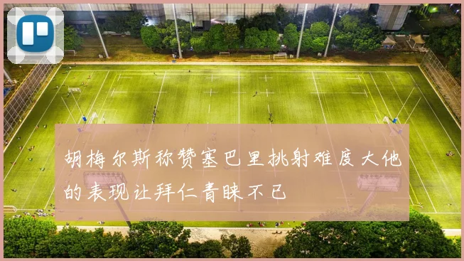 胡梅尔斯称赞塞巴里挑射难度大他的表现让拜仁青睐不已
